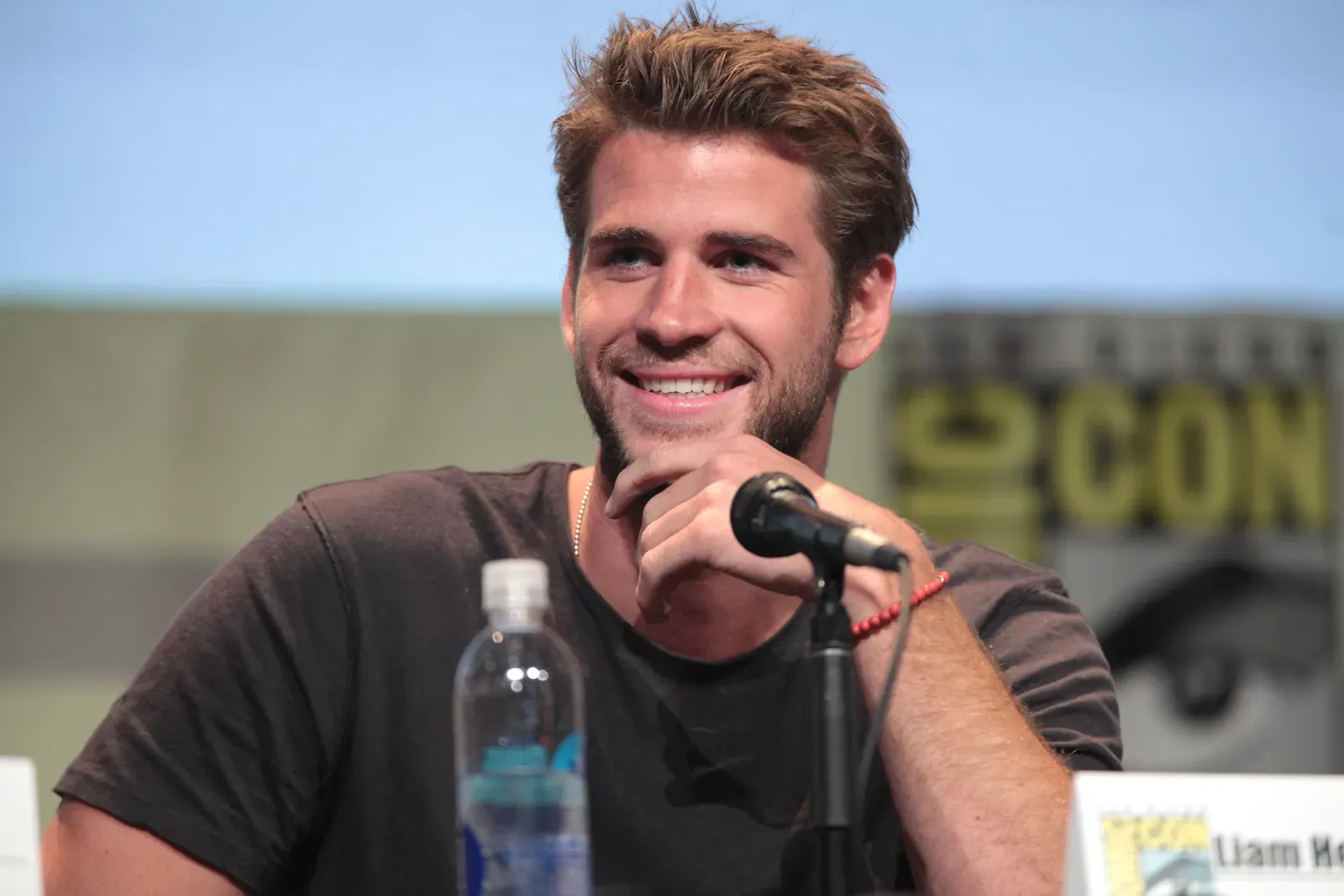 Liam Hemsworth (Image Credits: Wikimedia)