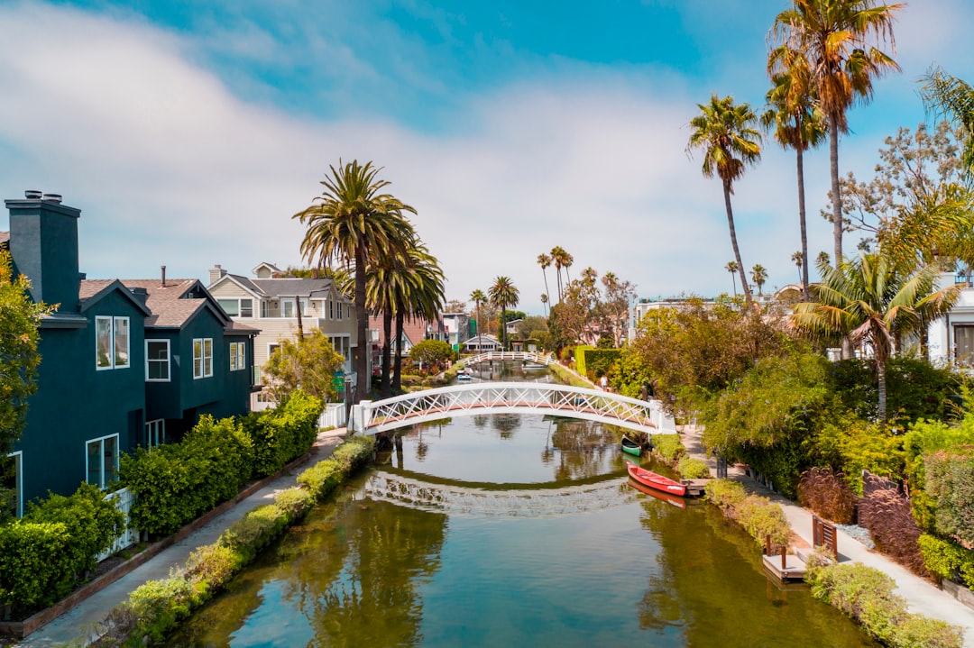 Venice Beach, California - Crime and Chaos (Image Credits: Unsplash)
