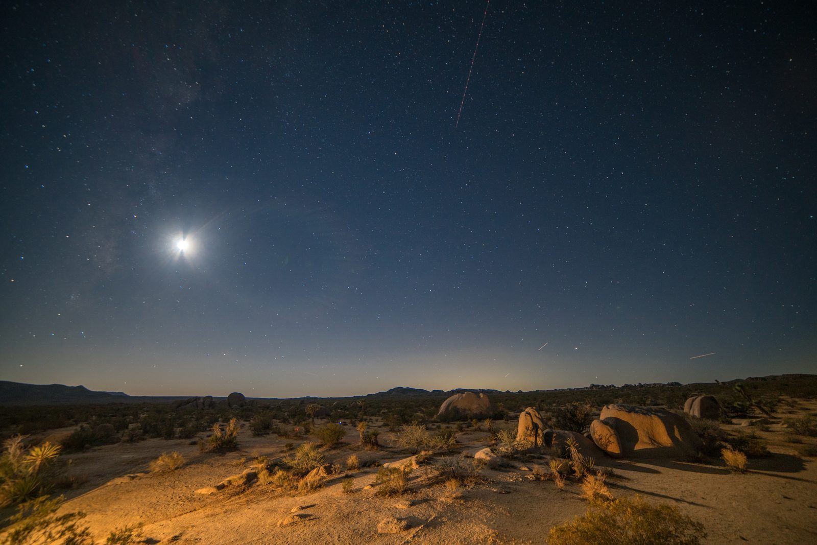 Temperature Considerations and Preparation (Image Credits: Shutterstock)