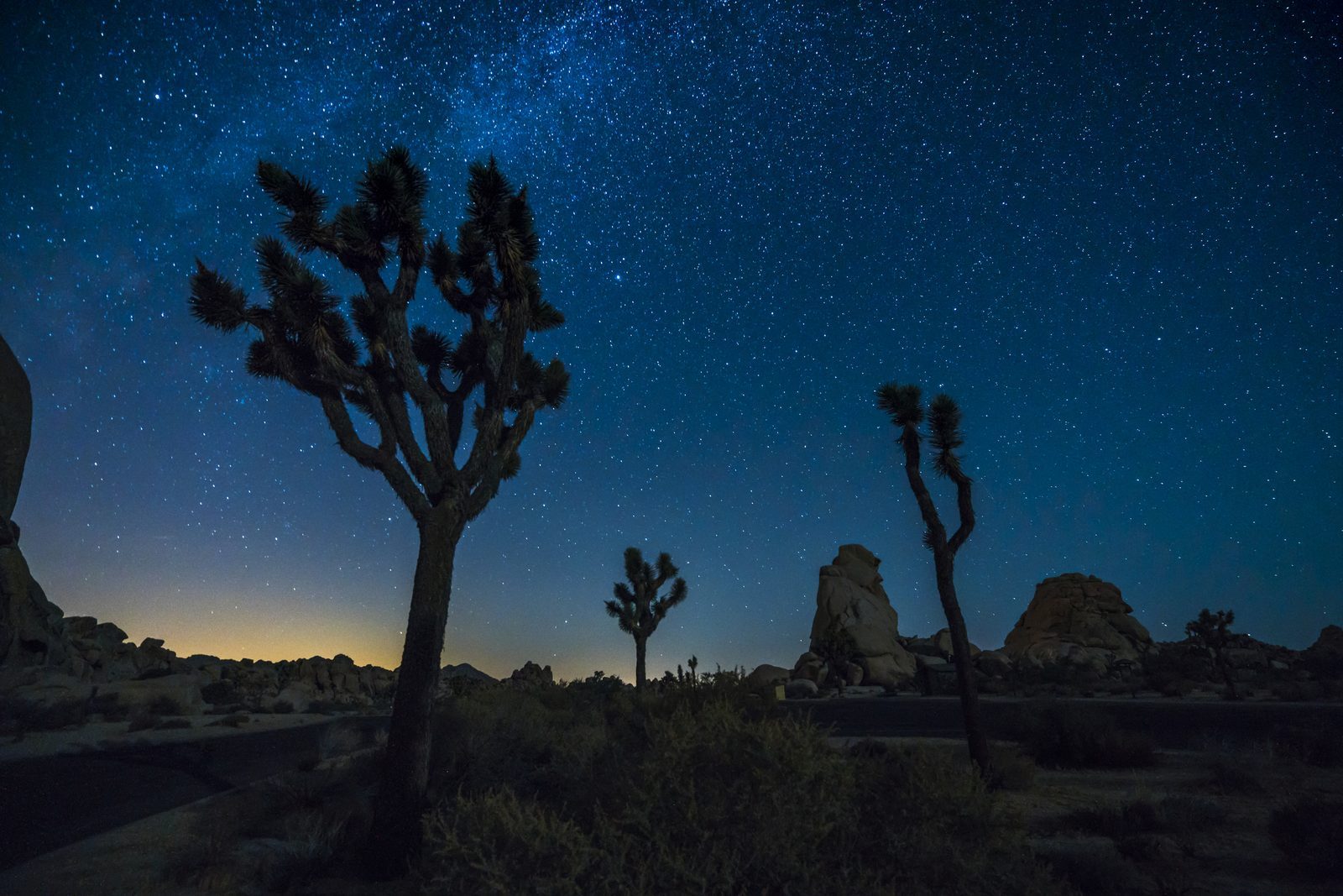 Light Pollution Reality Check (Image Credits: Shutterstock)