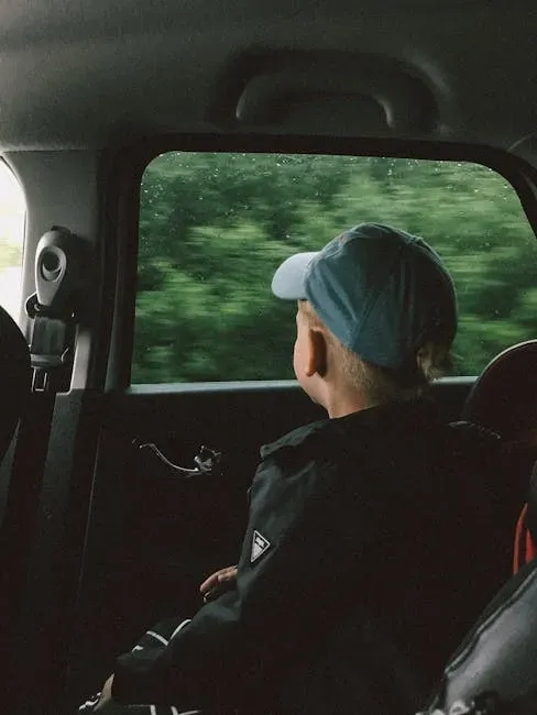 #30 - Riding in the Back Seat Like a Loose Bag of Groceries (Image Credits: Pexels)