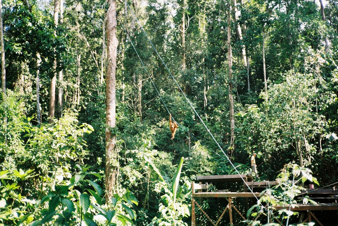 Brunei: Sultan's Playground (Image Credits: Unsplash)