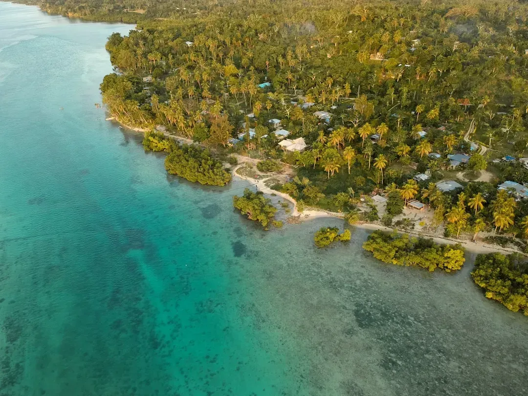 Vanuatu: The Pacific Speed Champion Processing in About Two Months (Image Credits: Unsplash)