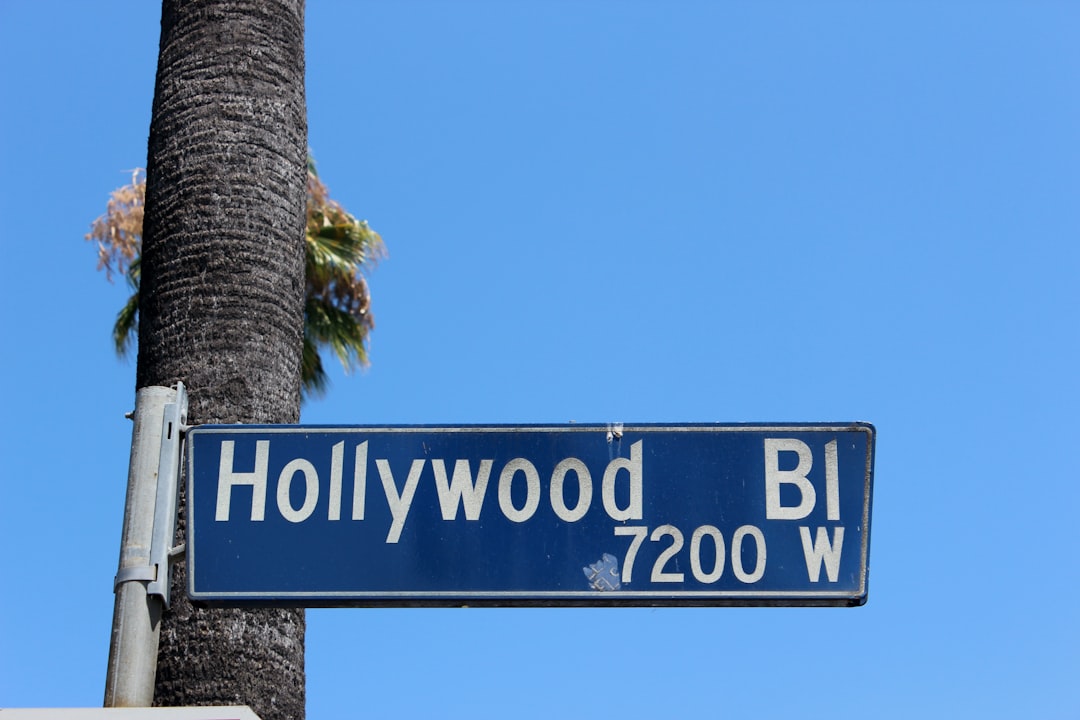 Hollywood: Strategic Location Meets Affordability (Image Credits: Unsplash)