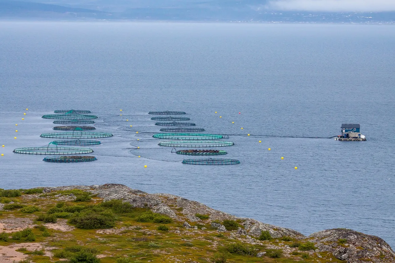 Where All This Fish Is Actually Being Farmed (Image Credits: Pixabay)