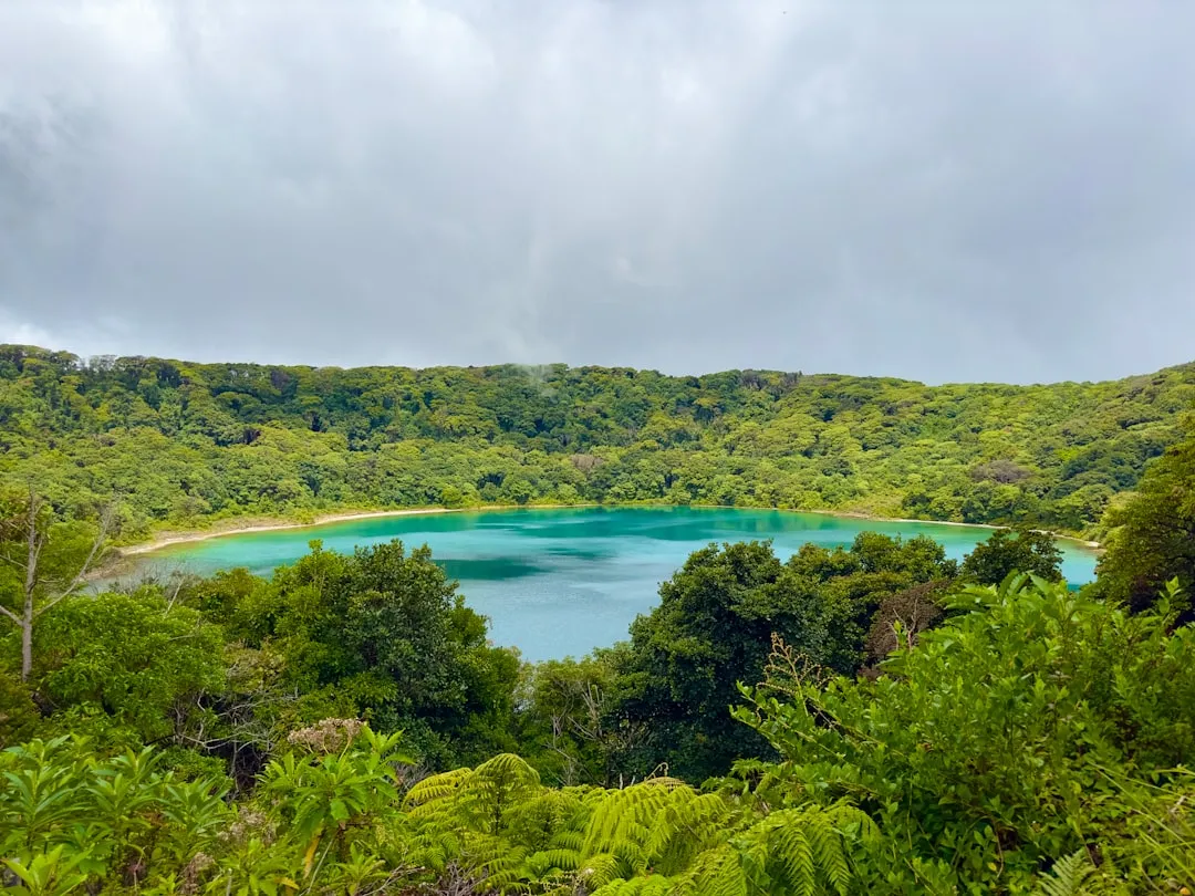 Tonga: minimal protections, no guaranteed pay (Image Credits: Unsplash)