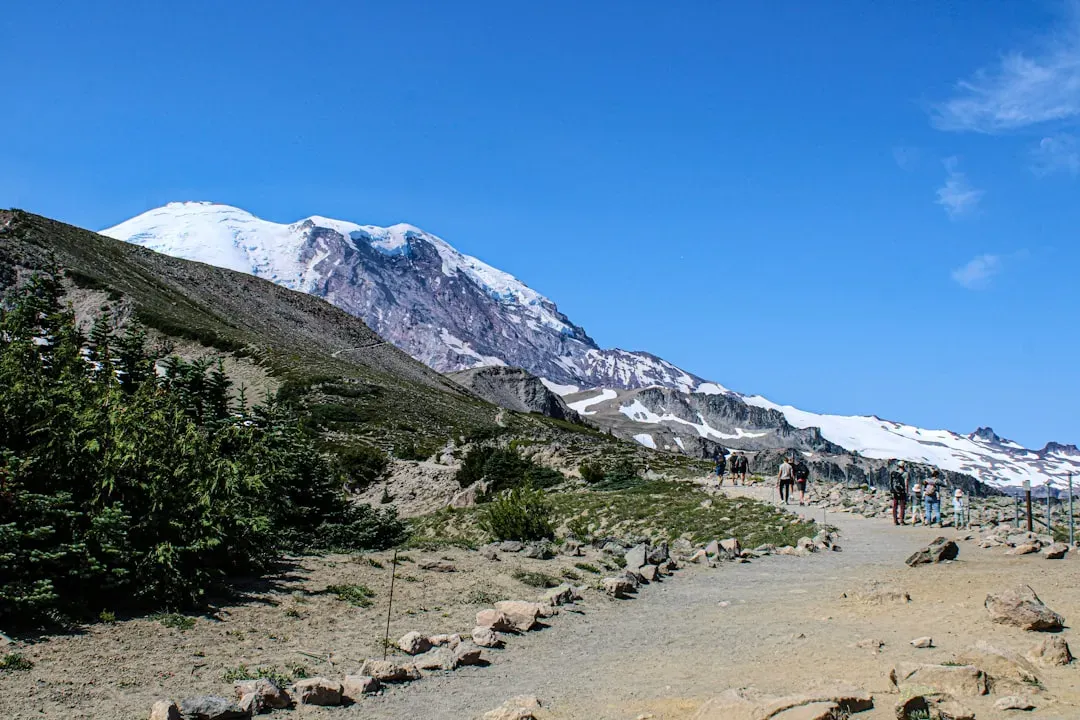 5. Skyline Trail Loop - Mount Rainier National Park, Washington (Image Credits: Unsplash)