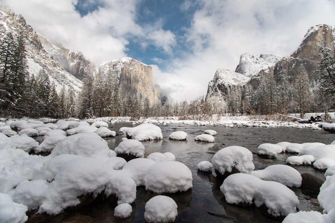 Yosemite National Park - Serene Valley Beauty (Image Credits: Unsplash)
