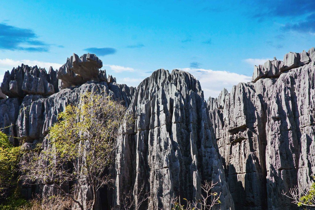 Madagascar's Tsingy de Bemaraha (Image Credits: Flickr)