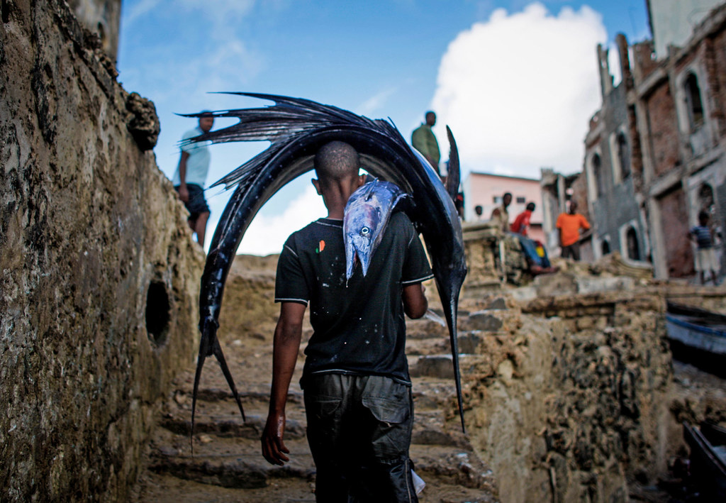 Somalia - Political Instability Eliminates Tourism Infrastructure (Image Credits: MISSING SOURCE)