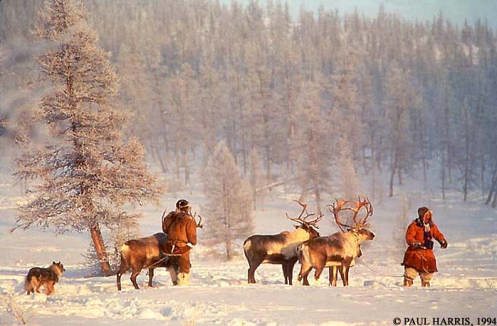 Modern Challenges Threaten Ancient Ways (Image Credits: Flickr)