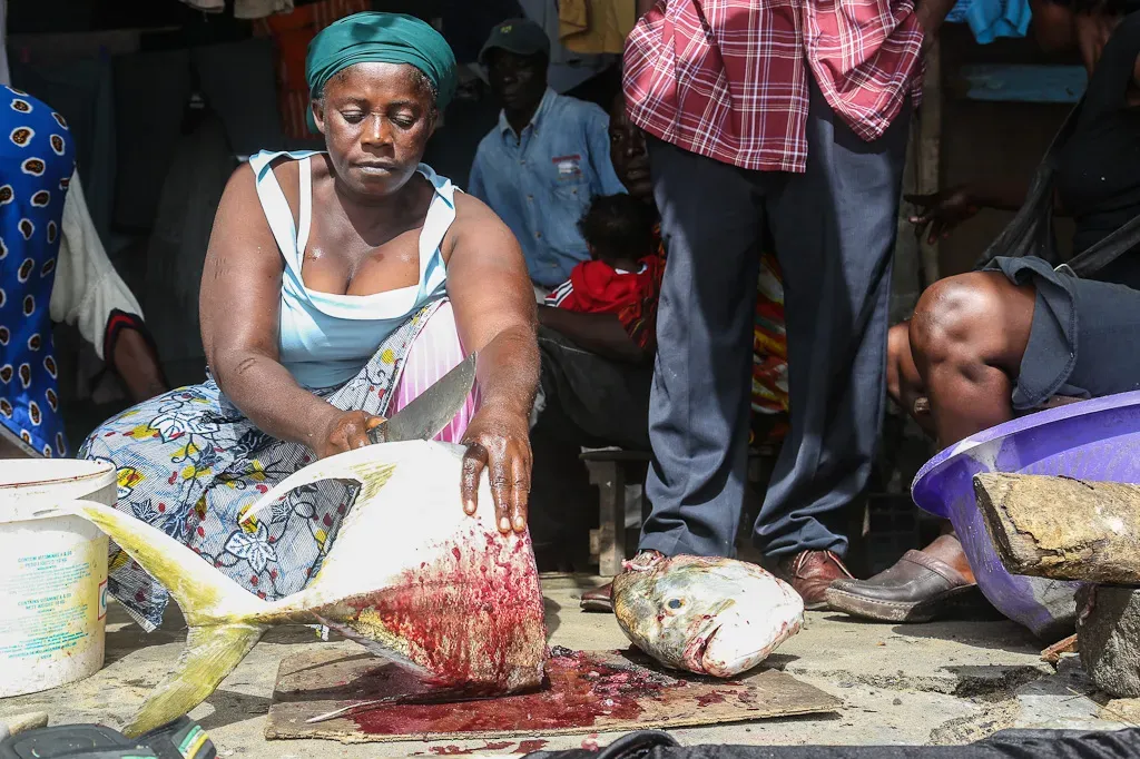 Liberia (Image Credits: Wikimedia)