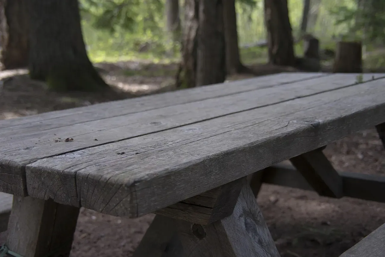 #17: Lunch Was a Roadside Picnic From a Packed Basket (Image Credits: Pixabay)