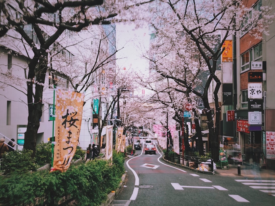 Japan: The Art of Omotenashi and Respectful Communication (Image Credits: Unsplash)