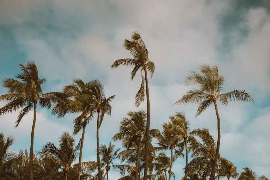 Spring (April to May): Dry Skies Before the Summer Rush (Image Credits: Pexels)