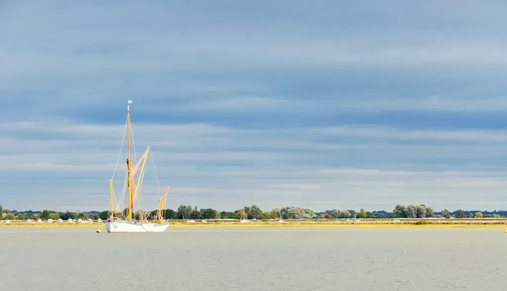 What the Regulatory Landscape Looks Like in 2026 (amandabhslater, Flickr, CC BY-SA 2.0)