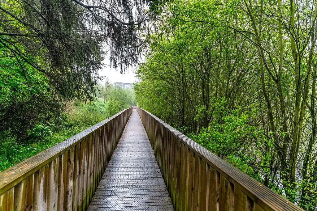 Conclusion: The Open Trail Is Still Out There (infomatique, Flickr, CC BY-SA 2.0)