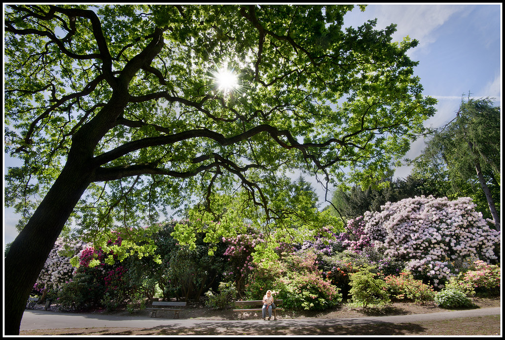 Conclusion (Image Credits: Flickr)