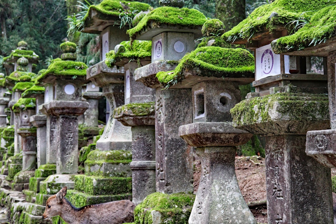 Japan - Where Ancient Traditions Dance with Natural Beauty (Image Credits: Unsplash)