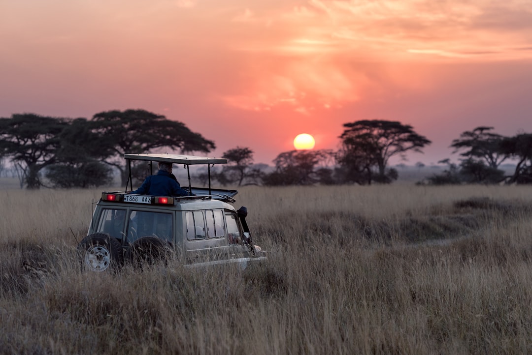 African Safari Expeditions (Image Credits: Unsplash)