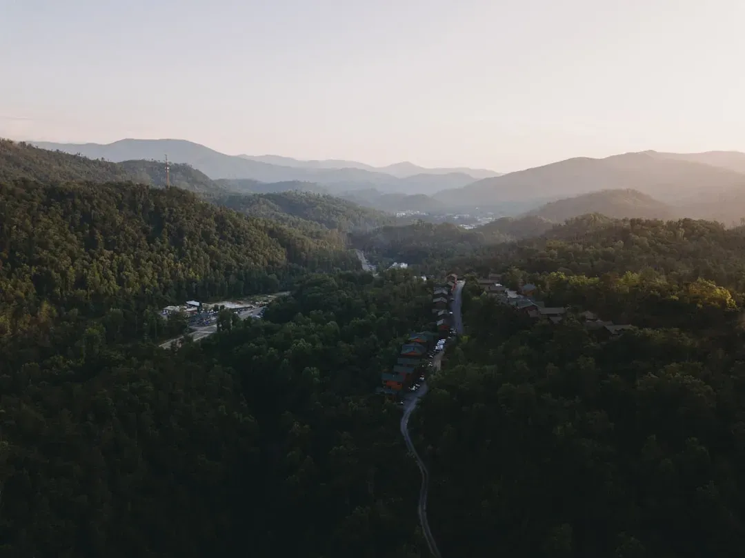 The Opioid Shadow Over the Mountains (Image Credits: Unsplash)