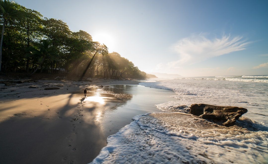 Costa Rica: The Pura Vida Paradise (Image Credits: Unsplash)