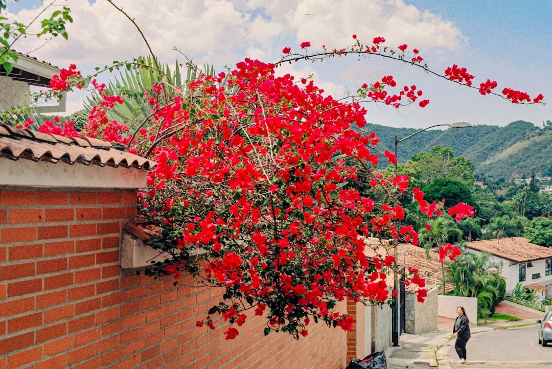 Caracas, Venezuela (Image Credits: Unsplash)