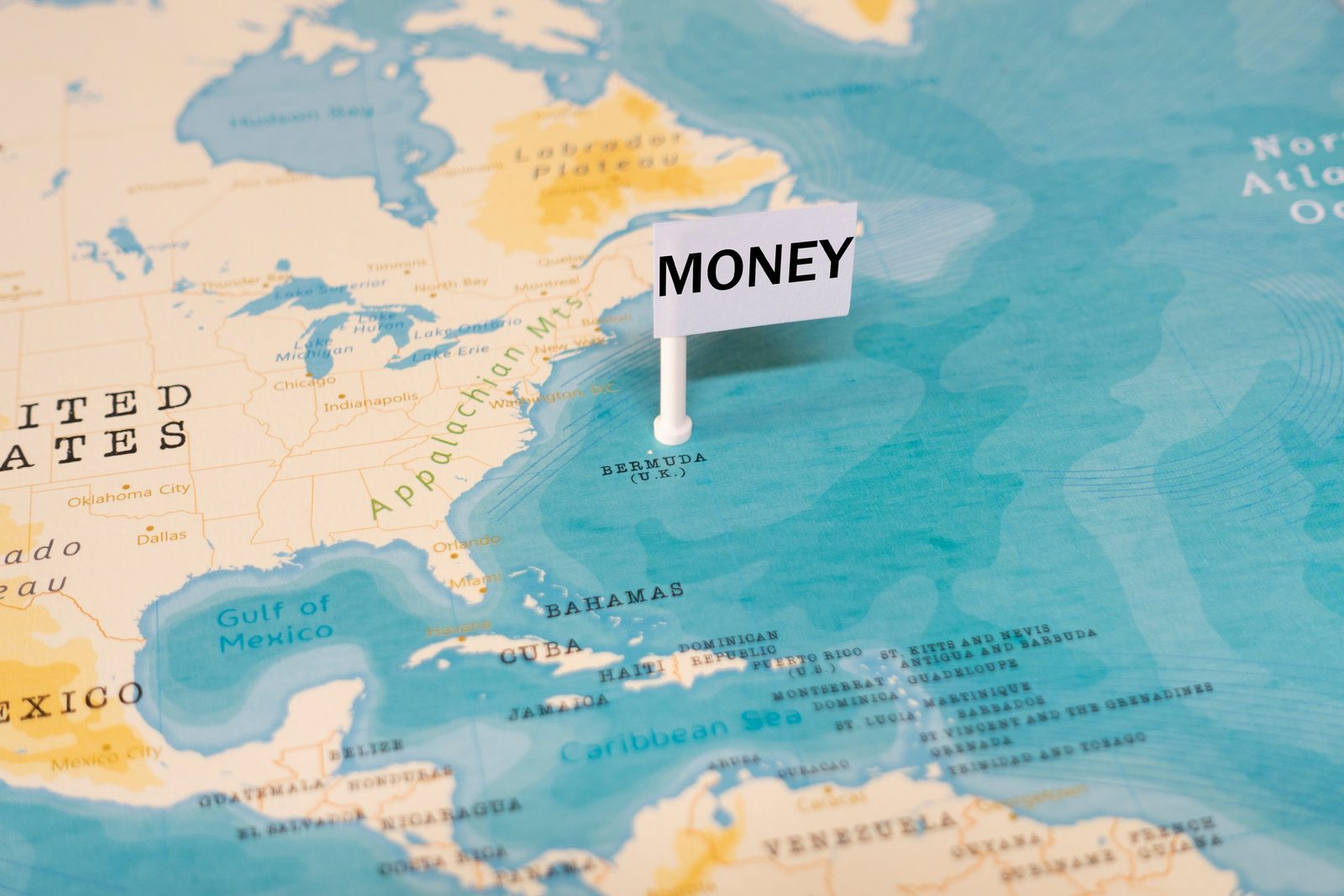 Import Duties Make Everything Worse (Image Credits: Shutterstock)