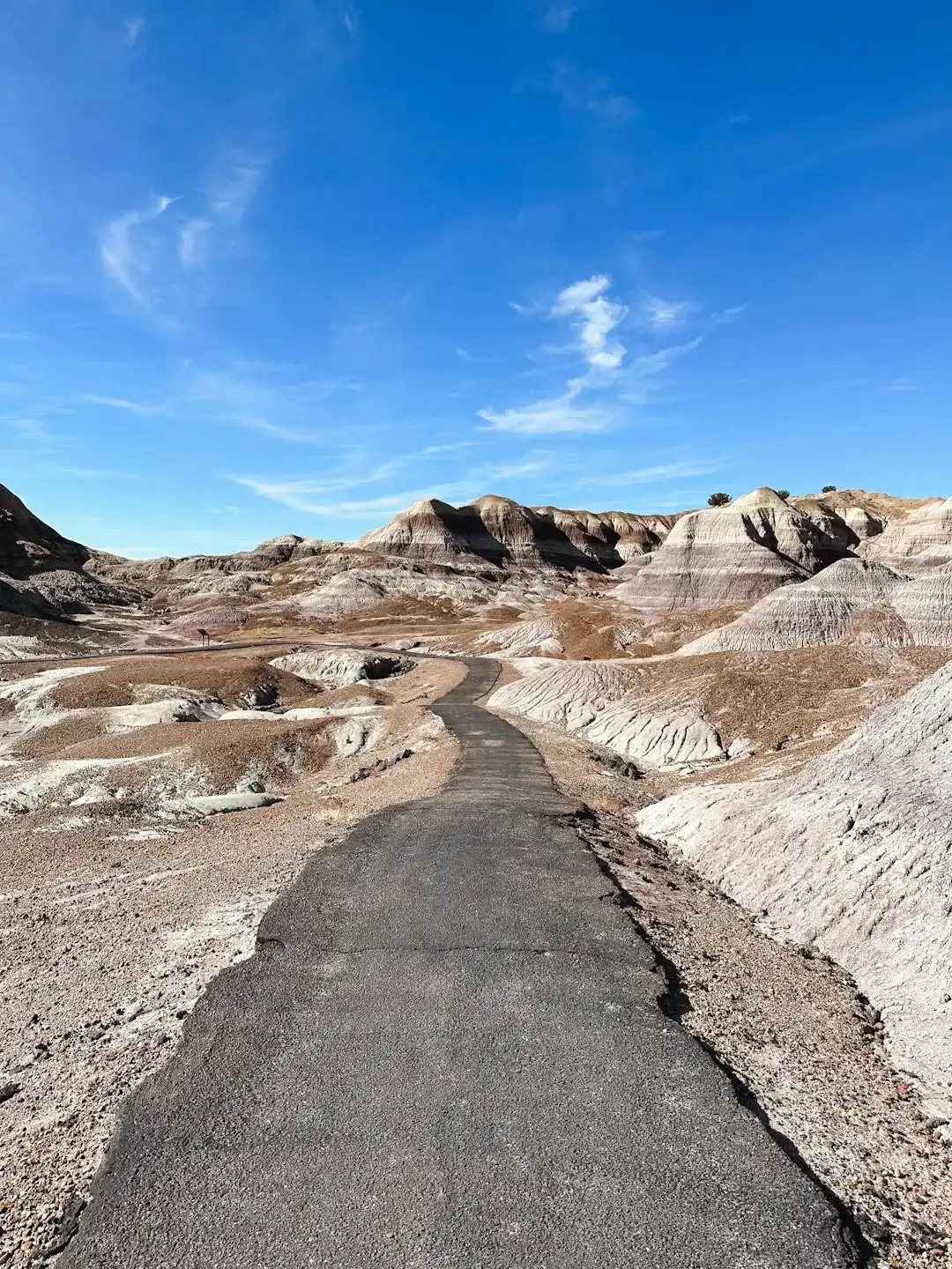 Finding Your Own Hidden Park (Image Credits: Unsplash)