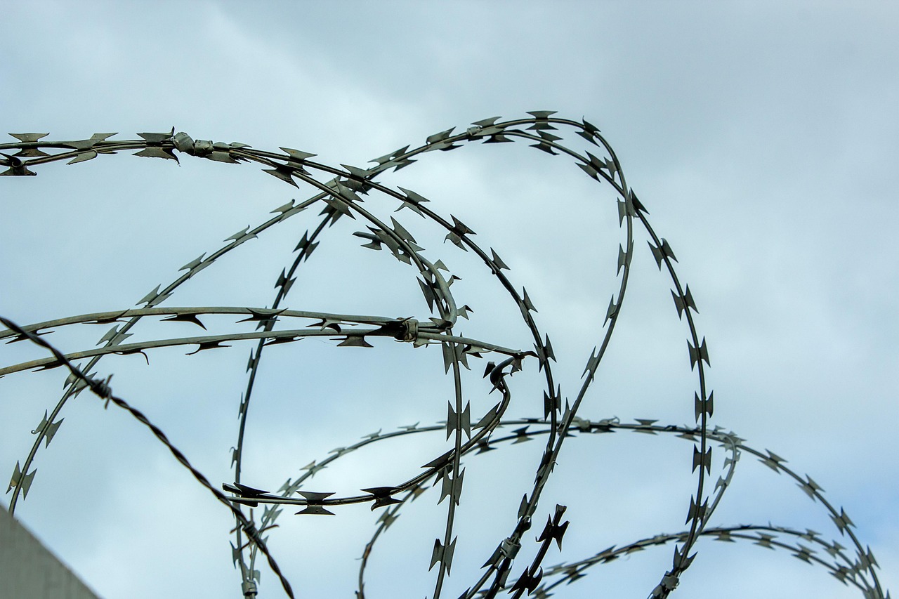 The Trump Administration's Border Control Strategy (Image Credits: Pixabay)