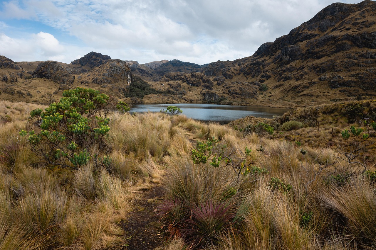 Ecuador: Dollar-Based Economy Meets Mountain Living (Image Credits: Pixabay)