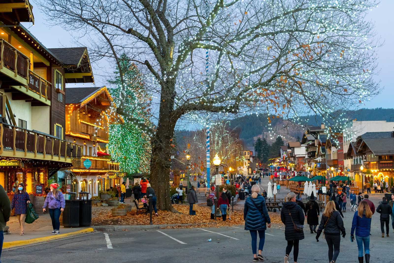 The Christmastown Experience Beyond the Lights (Image Credits: Shutterstock)