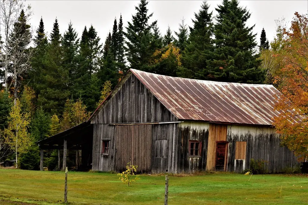 Josh Duhamel: A "Doomsday Cabin" in the Minnesota Woods (Image Credits: Flickr)