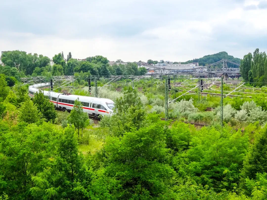 The Green Factor: Sustainability Is Reshaping How Retirees Choose to Travel (Image Credits: Unsplash)