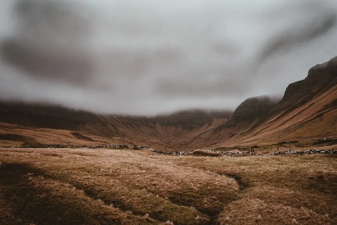 So, Is Yellowstone Overrated? (Image Credits: Unsplash)