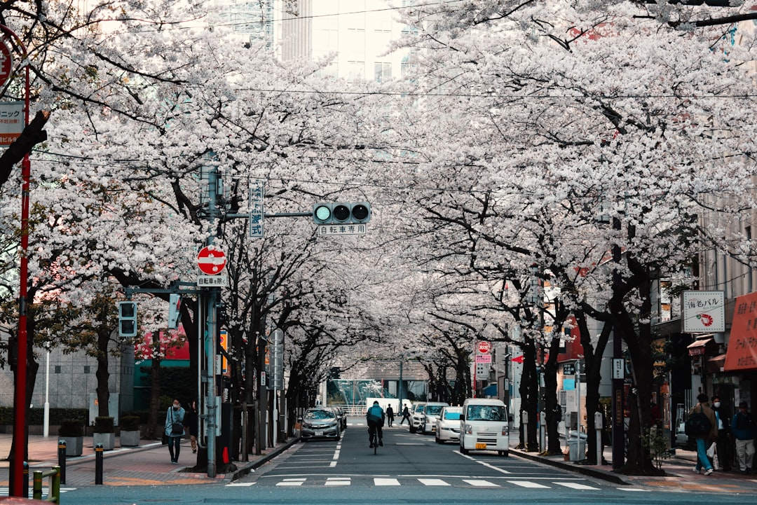 Japan: Government Insurance Excellence (Image Credits: Unsplash)