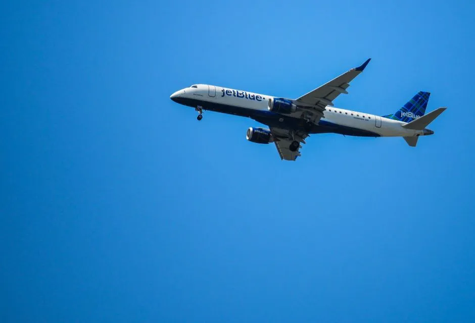 Why a Loose Rodent on a Plane Is a Genuine Safety Concern (Image Credits: Pexels)