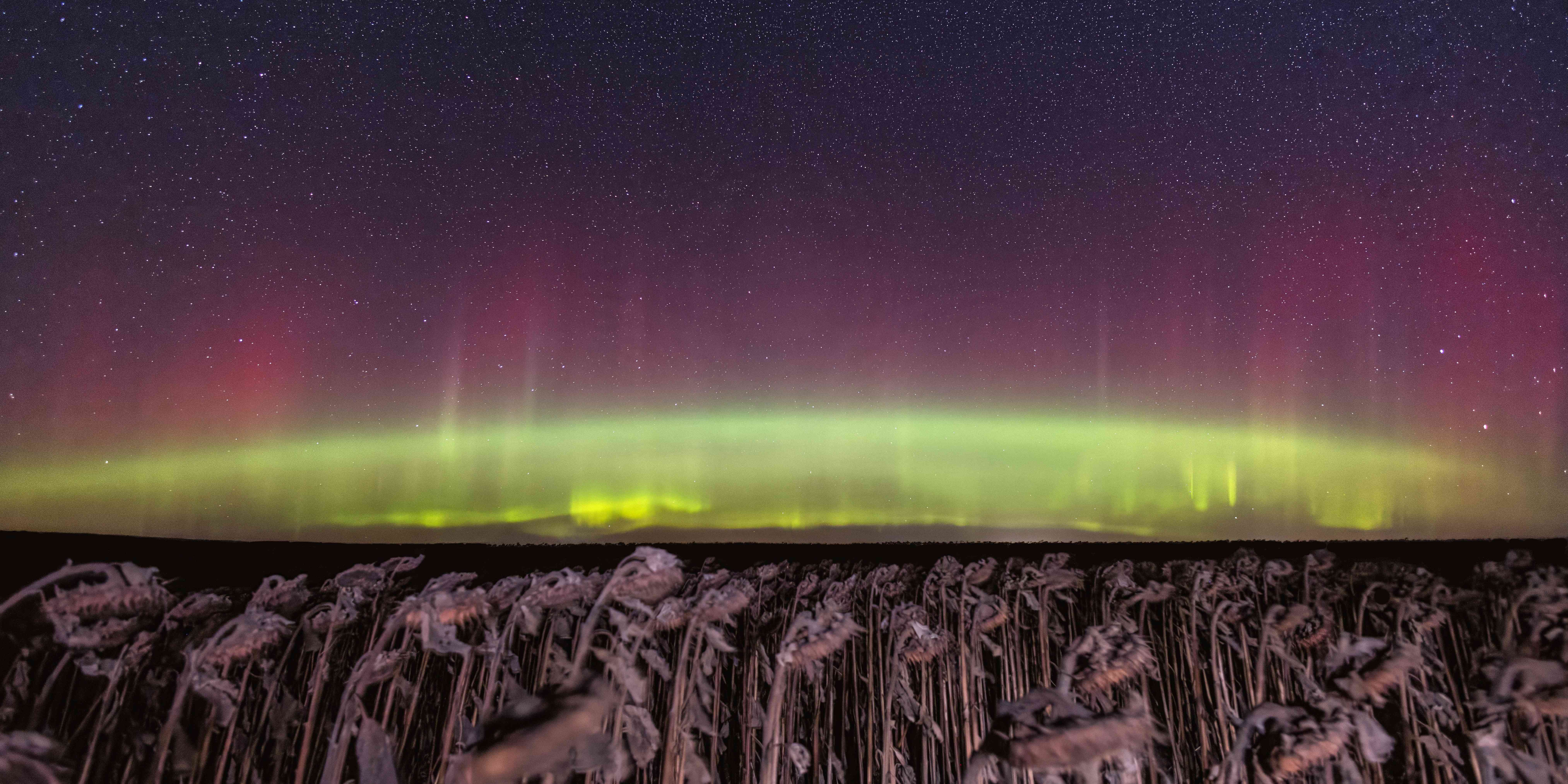 North Dakota: Prairie Aurora Paradise (Image Credits: Shutterstock)