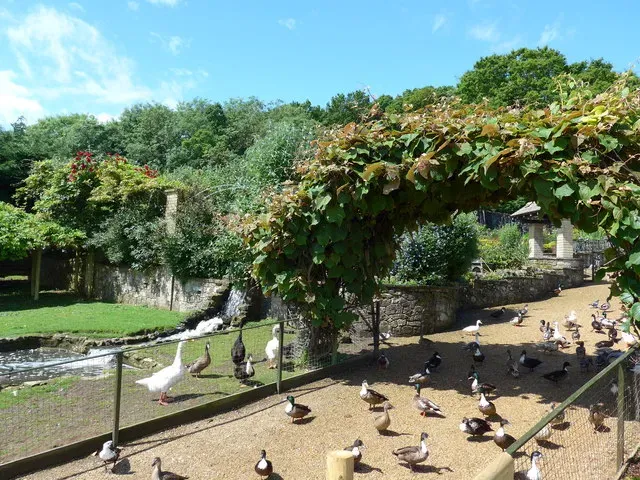 Fewer Crowds Mean Better Wildlife Encounters (Image Credits: Wikimedia)