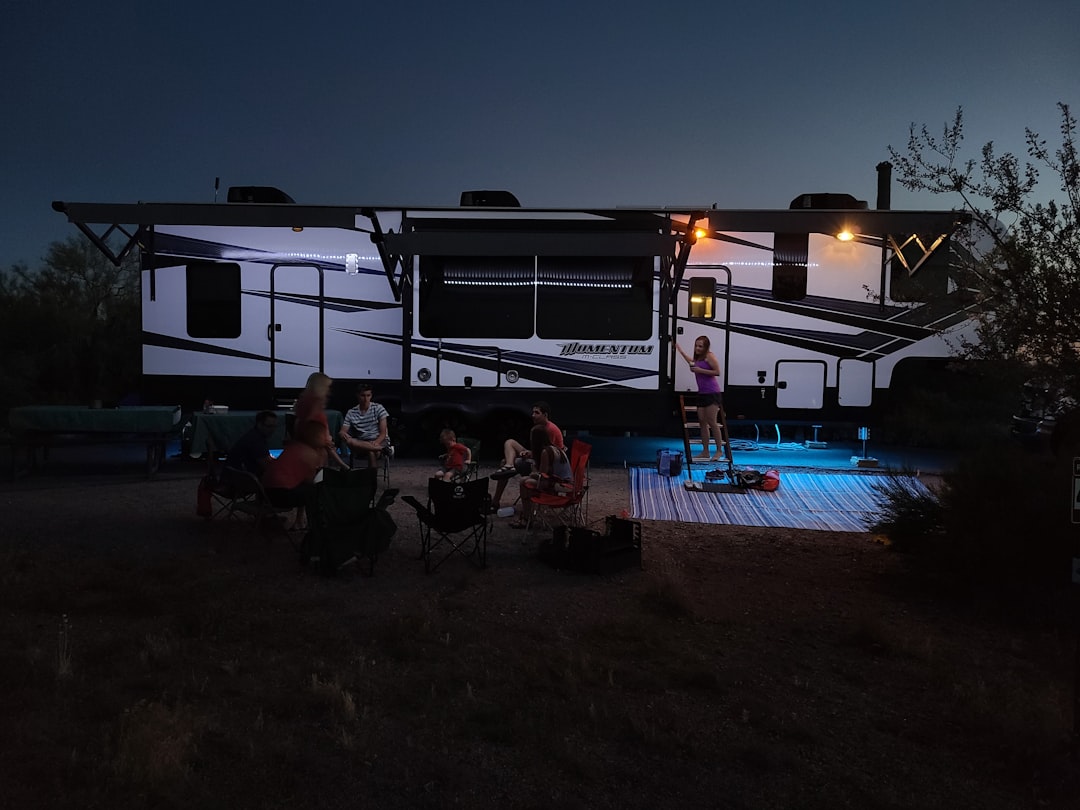 Road Trips: The New American Adventure (image credits: unsplash)