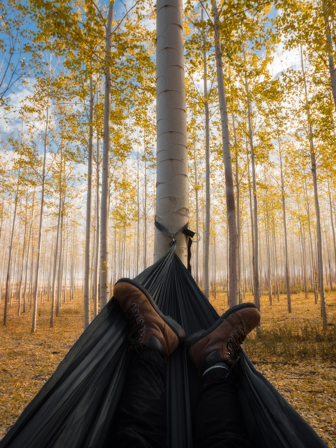 The Awakening That Changed Everything (image credits: unsplash)