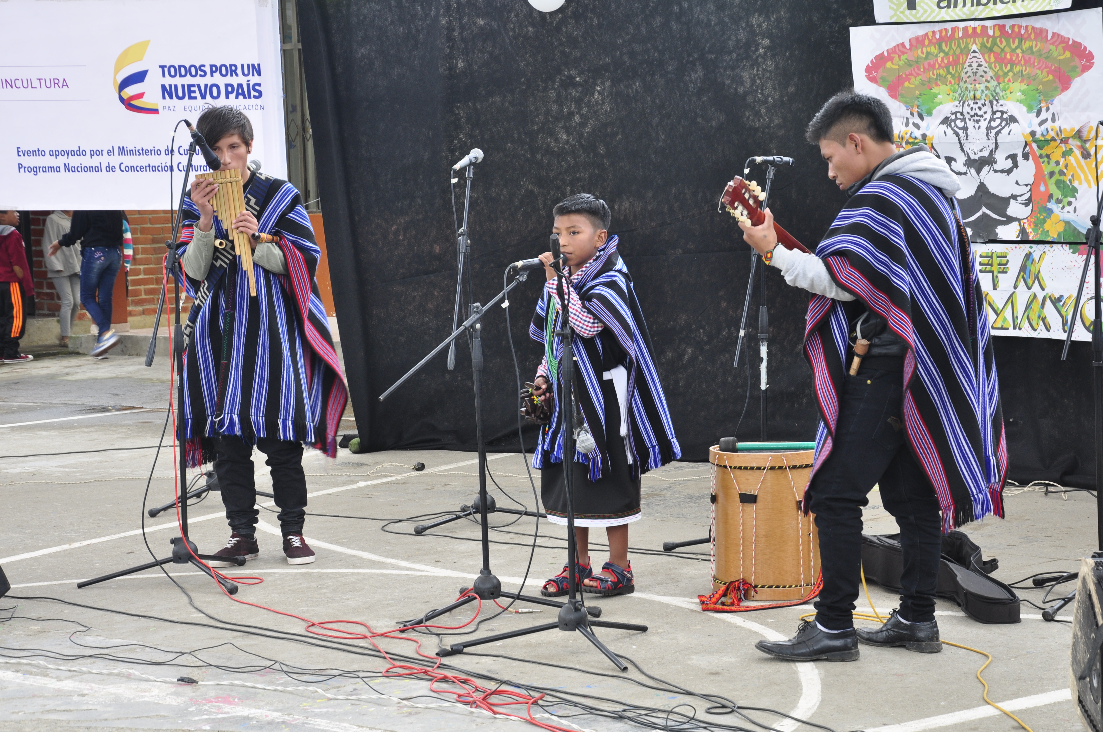 The Indigenous Cultures of the Andes (image credits: wikimedia)