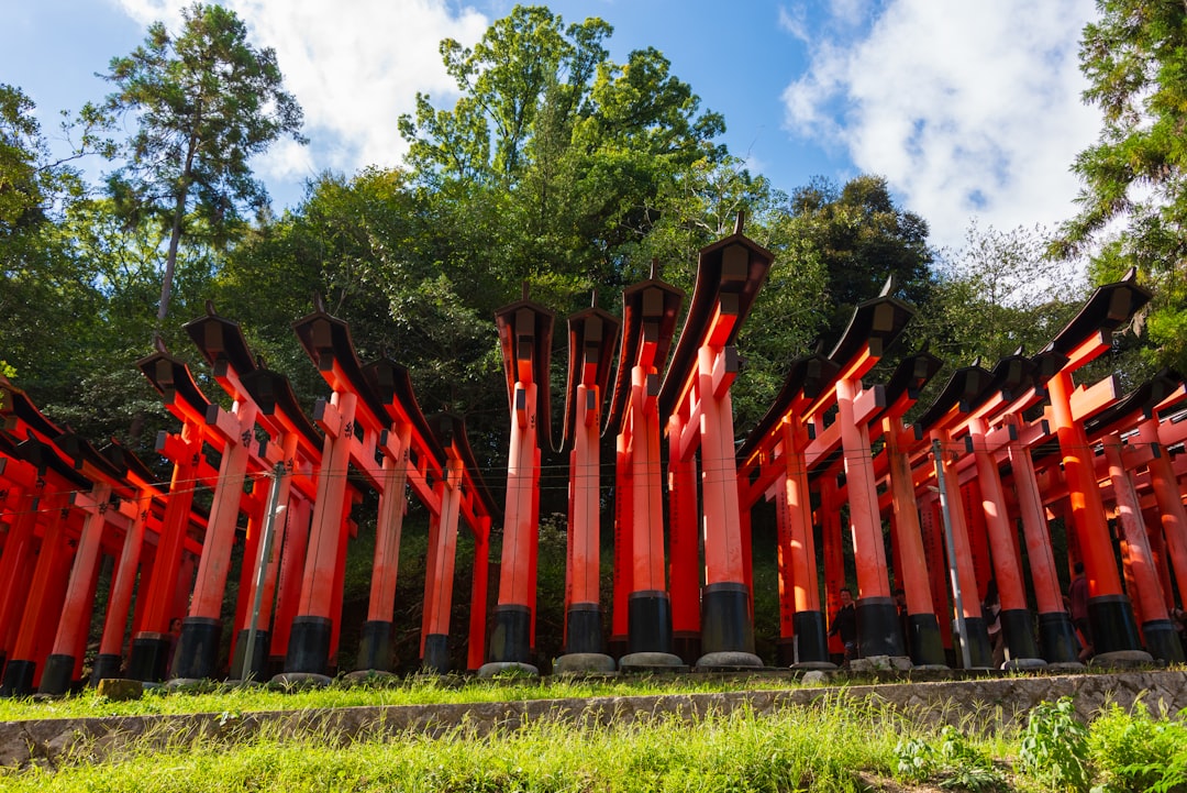 Japan (image credits: unsplash)
