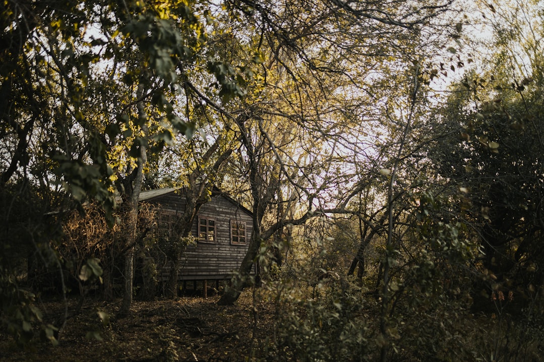 The Future of Off-Grid Living (image credits: unsplash)