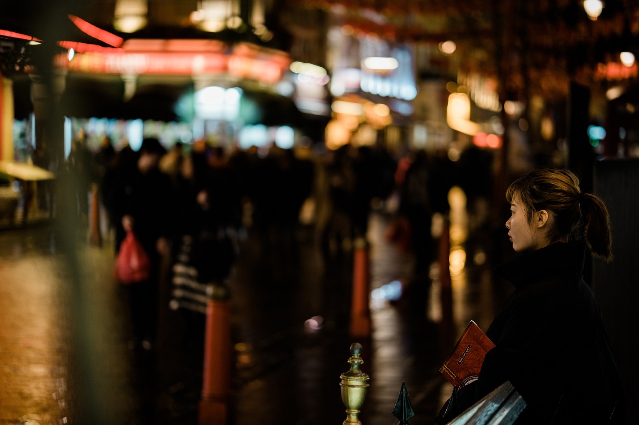 Comparative Analysis with Other Tourist-Heavy Cities (image credits: pixabay)