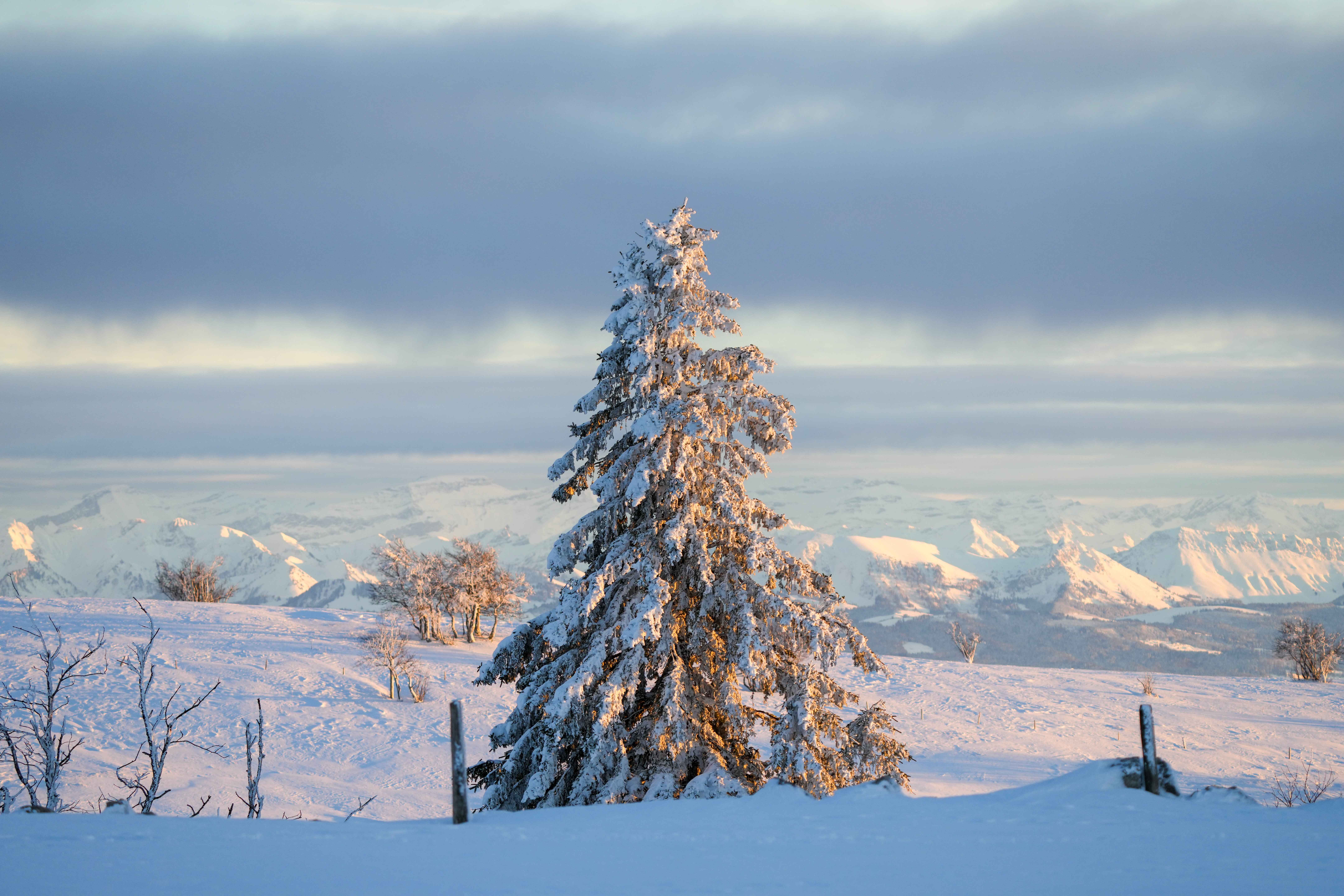 Switzerland Beauty and Balance (image credits: wikimedia)