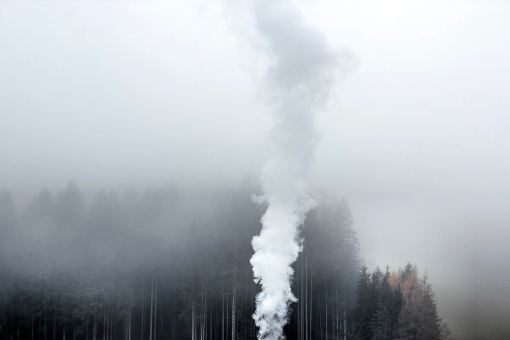 Environmental Impact (image credits: rawpixel)