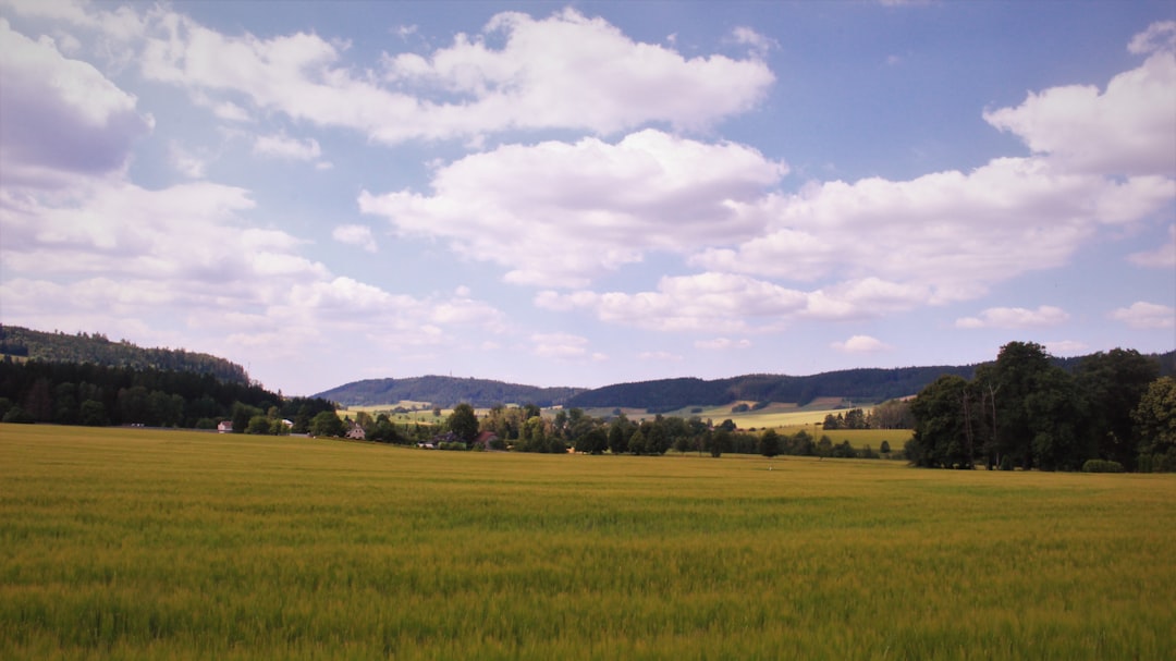 5. Saline County - 69.3 Years (image credits: unsplash)