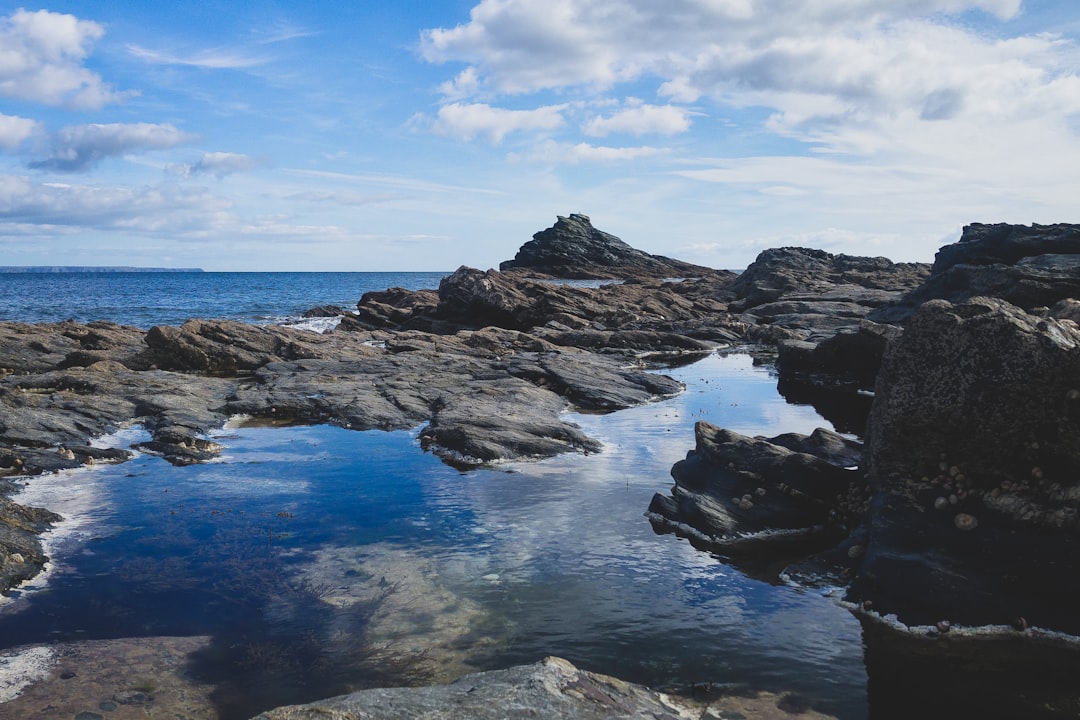 Rock Pools (image credits: unsplash)
