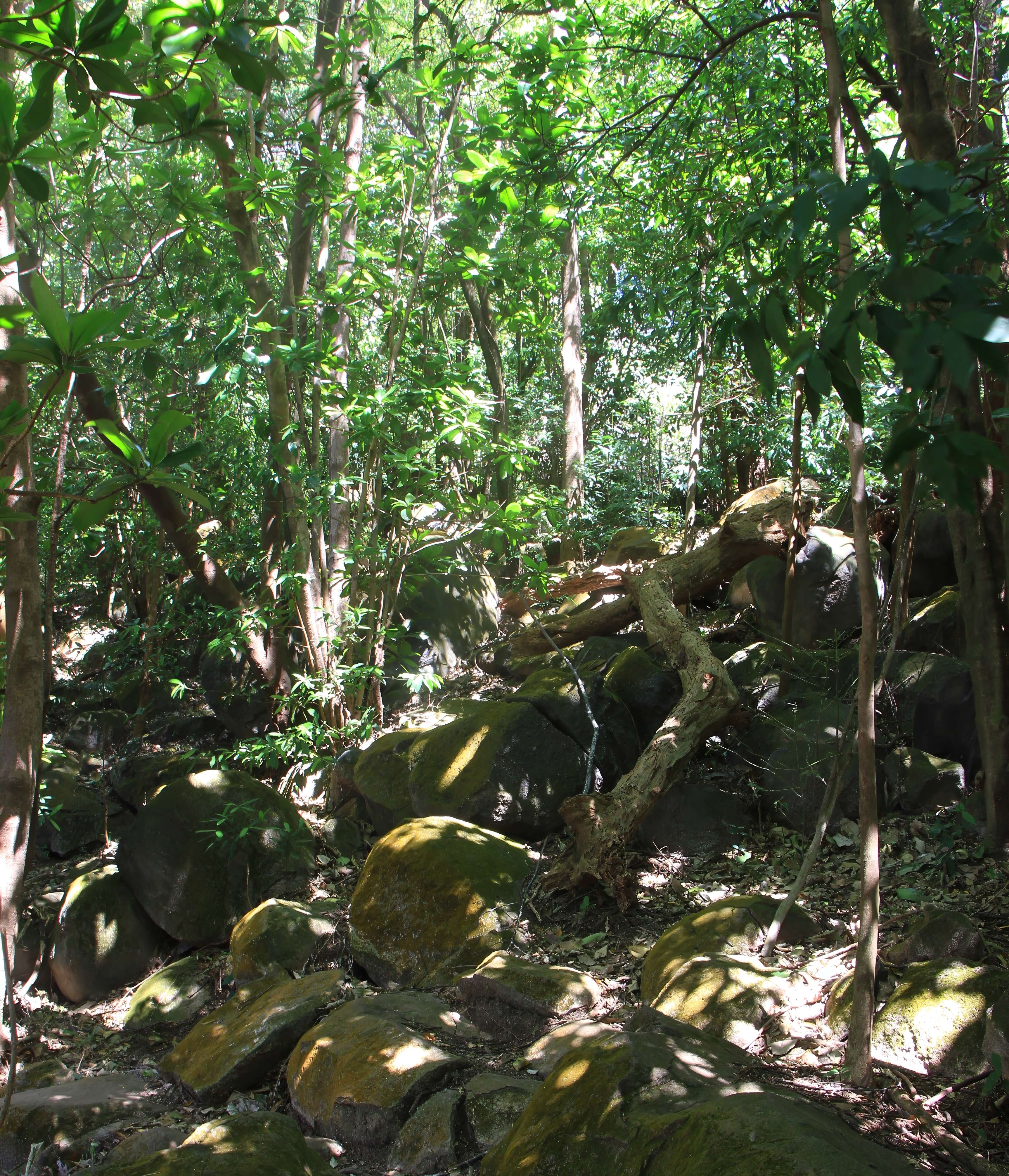 6. Costa Rica: A Model for Ecotourism (image credits: wikimedia)